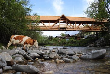 Sonderbau Radbrücke Mühldorf